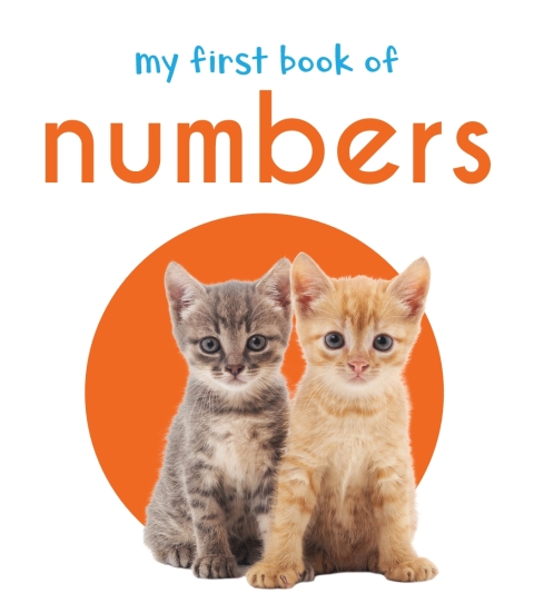 Cover image for book My First Book of Numbers