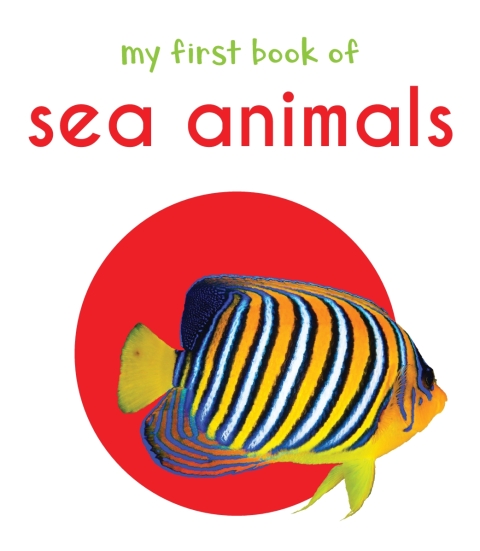 Cover image for book My First Book of Sea Animals