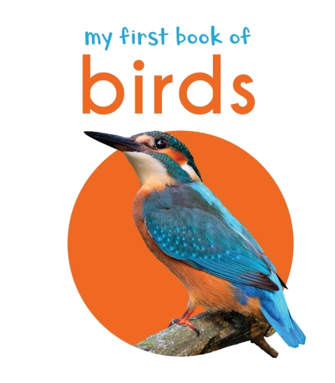 Cover image for book My First Book of Birds