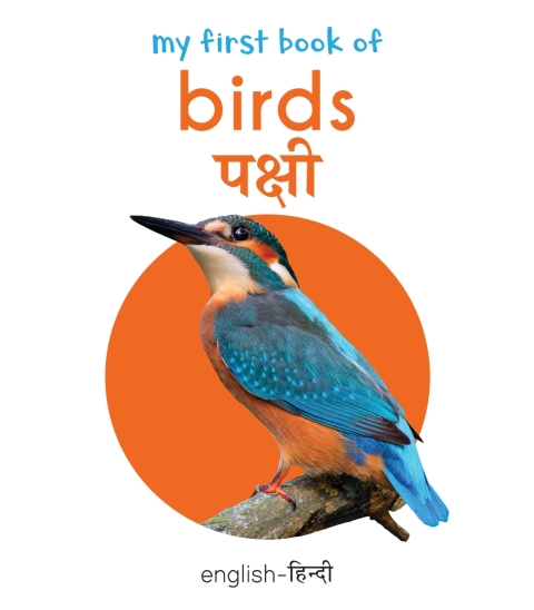 Cover image for book My First Book of Birds
