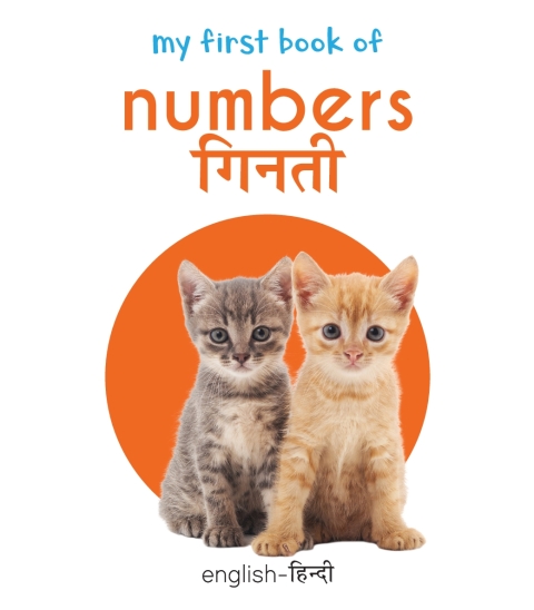 Cover image for book My First Book of Numbers - Ginti