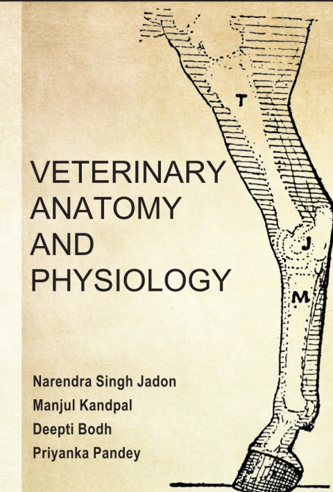 Cover image for book Veterinary Anatomy and Physiology