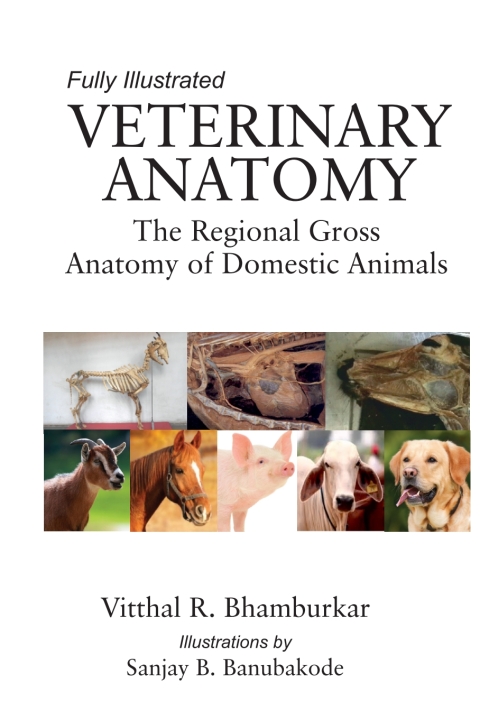 Cover image for book Veterinary Anatomy: The Regional Gross Anatomy of Domestic Animals (Part I & II in Single Binding)