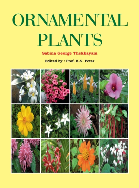 Cover image for book Ornamental Plants