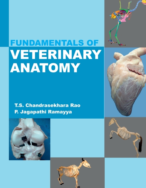Cover image for book Fundamentals of Veterinary Anatomy
