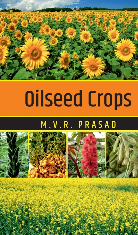Oilseed Crops 