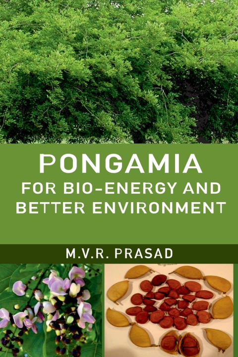 Cover image for book Pongamia for Bio-Energy and Better Environment