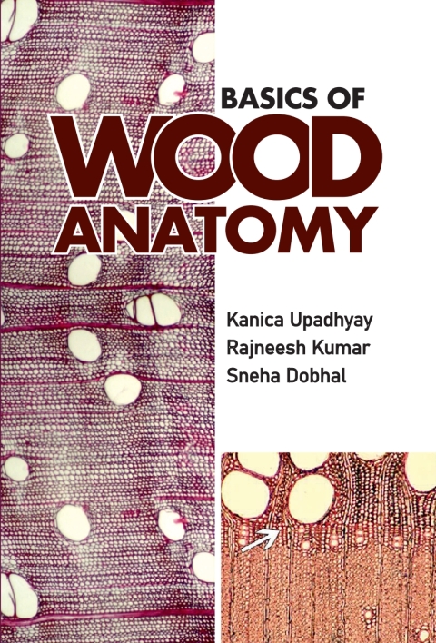 Cover image for book Basics of Wood Anatomy