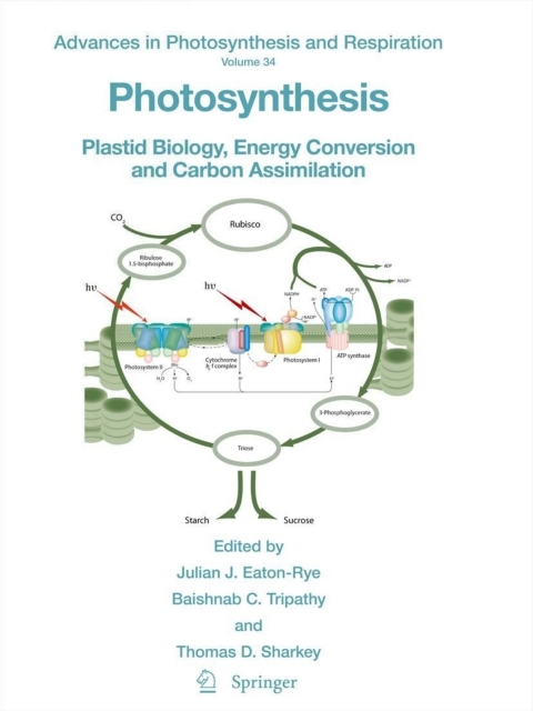 Cover image for book Photosynthesis