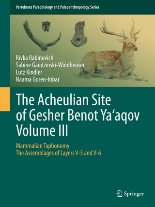 The Acheulian Site of Gesher Benot Ya‘aqov Volume III
