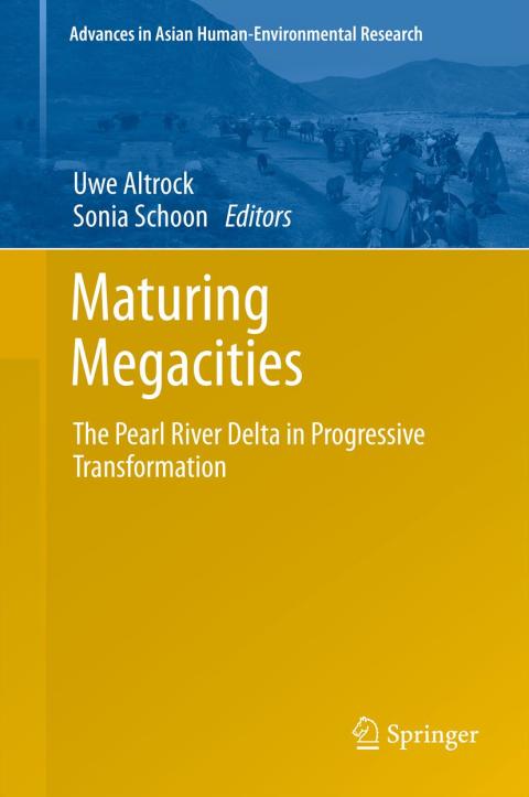 Cover image for book Maturing Megacities