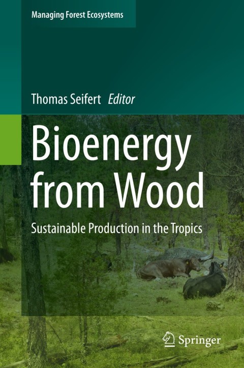 Cover image for book Bioenergy from Wood