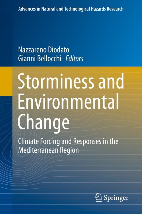 Cover image for book Storminess and Environmental Change