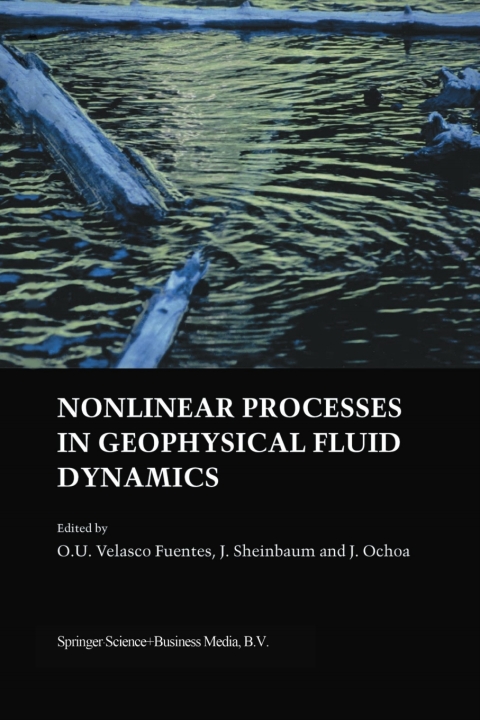Cover image for book Nonlinear Processes in Geophysical Fluid Dynamics