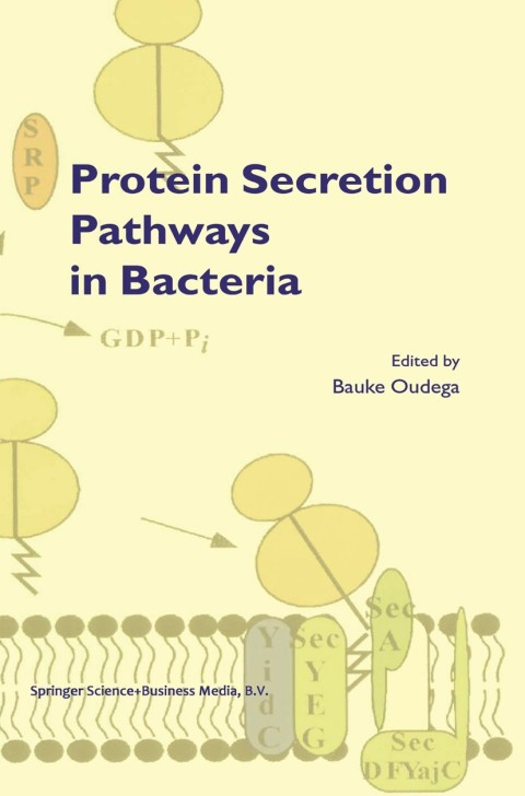Cover image for book Protein Secretion Pathways in Bacteria