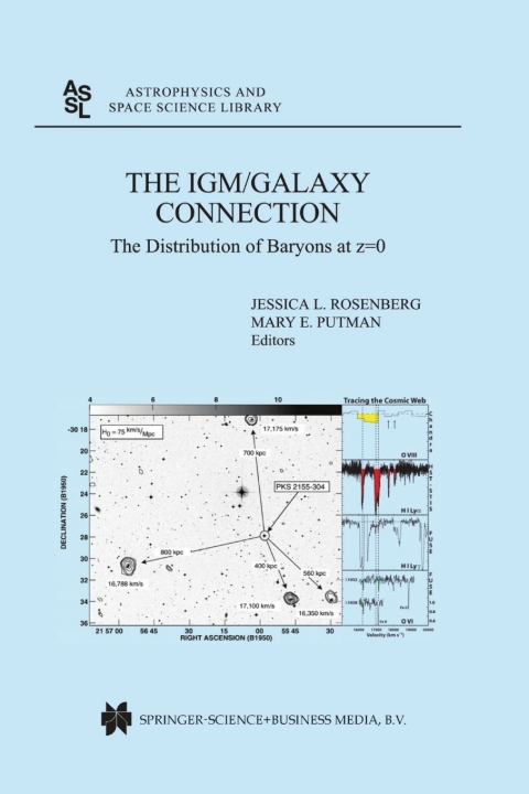 Cover image for book The IGM/Galaxy Connection