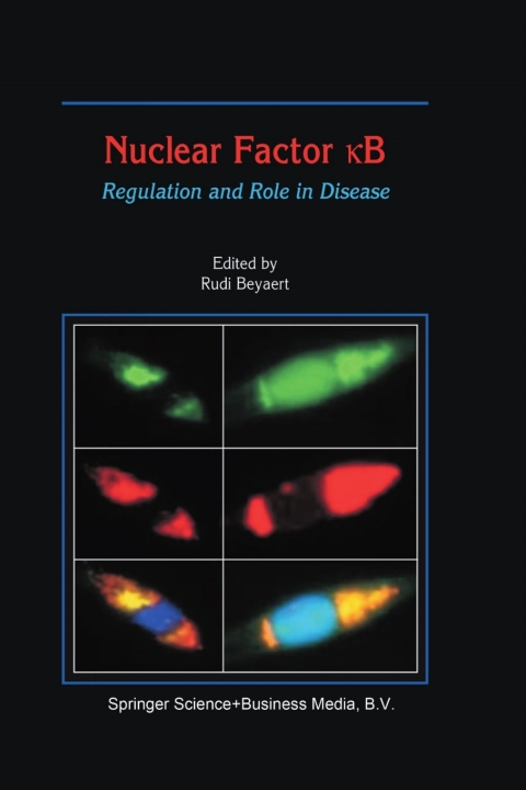 Cover image for book Nuclear Factor кB