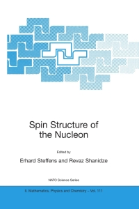 صورة الغلاف: Spin Structure of the Nucleon 1st edition 9781402014406