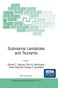 Titelbild: Submarine Landslides and Tsunamis 1st edition 9781402013485