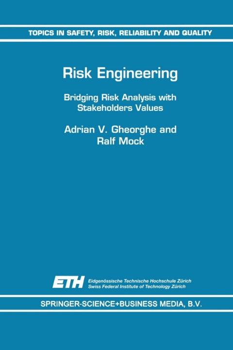 Cover image for book Risk Engineering