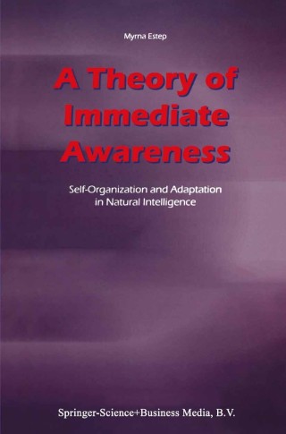 A Theory of Immediate Awareness