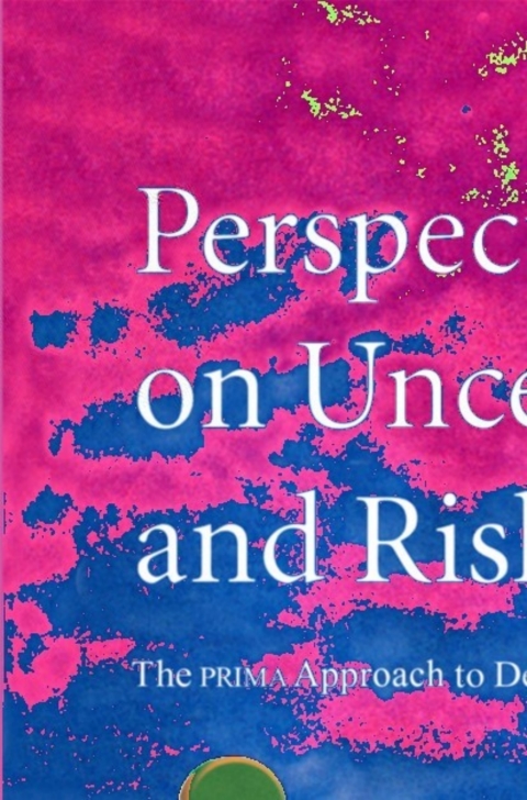 Cover image for book Perspectives on Uncertainty and Risk