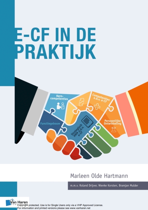 Cover image for book e-CF in de Praktijk