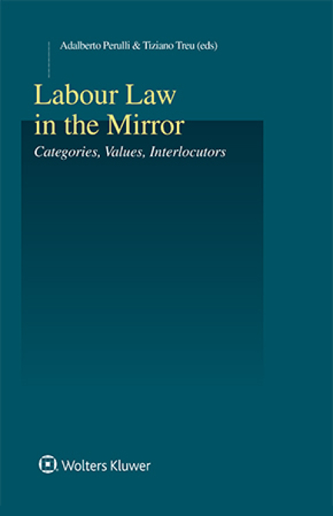 Cover image for book Labour Law in the Mirror