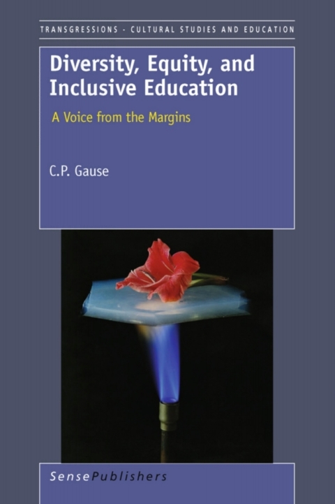 Cover image for book Diversity, Equity, and Inclusive Education: A Voice from the Margins