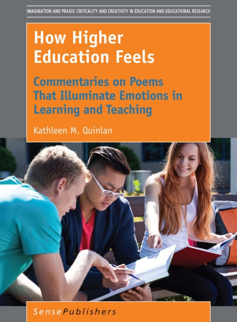 Cover image for book How Higher Education Feels