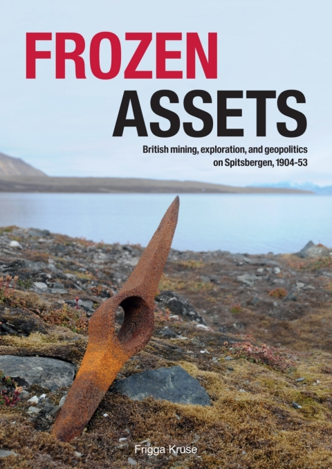 Cover image for book Frozen Assets