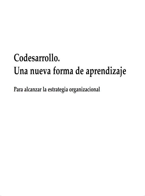 Codesarrollo