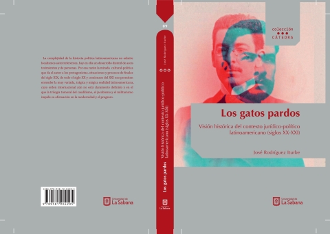 Cover image for book Los gatos pardos . Visión histórica del contexto jurídico-político latinoamericano (siglos XX-XXI)
