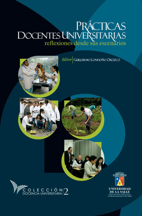 Cover image for book Prácticas docentes universitarias: Reflexiones desde sus escenarios