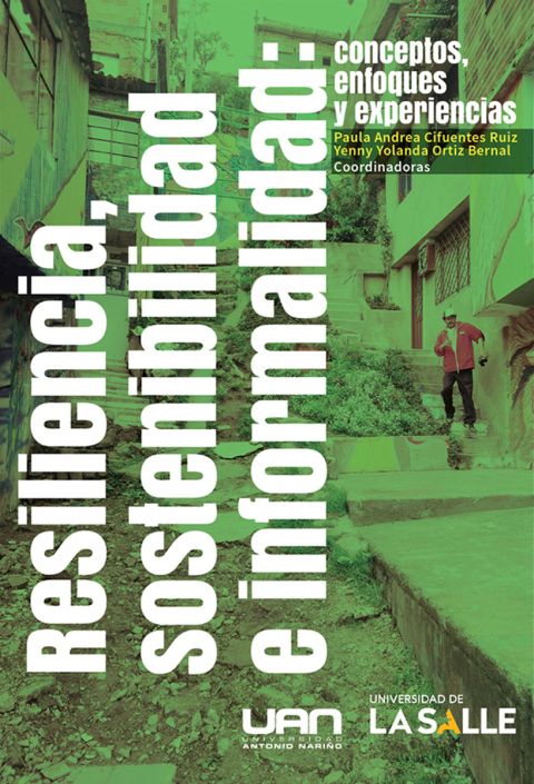 Cover image for book Resiliencia, sostenibilidad e informalidad: Conceptos, enfoques y experiencias