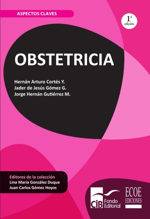 Cover image for book Obstetricia. Aspectos claves