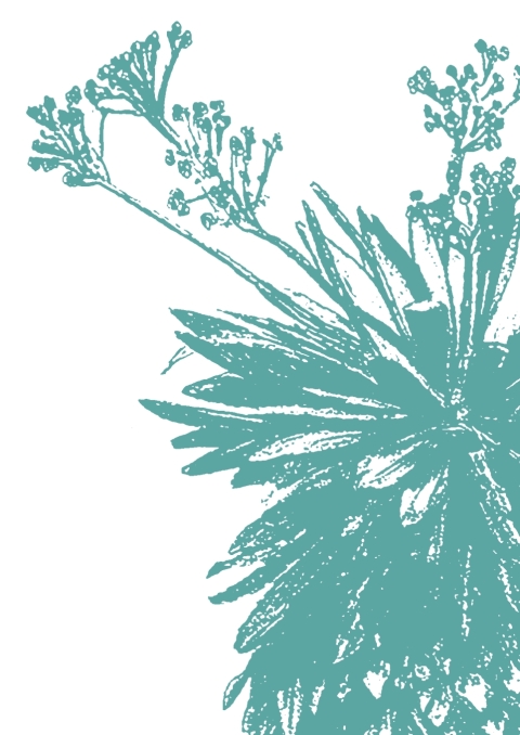 Cover image for book Ética-estética y ambiente-sostenibilidad. Reflexiones y estudios de caso