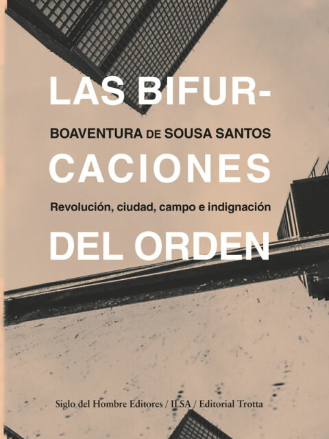 Cover image for book Las bifurcaciones del orden