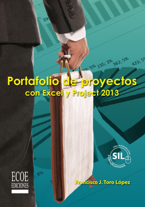 Cover image for book Portafolio de proyectos con excel y proyect 2013