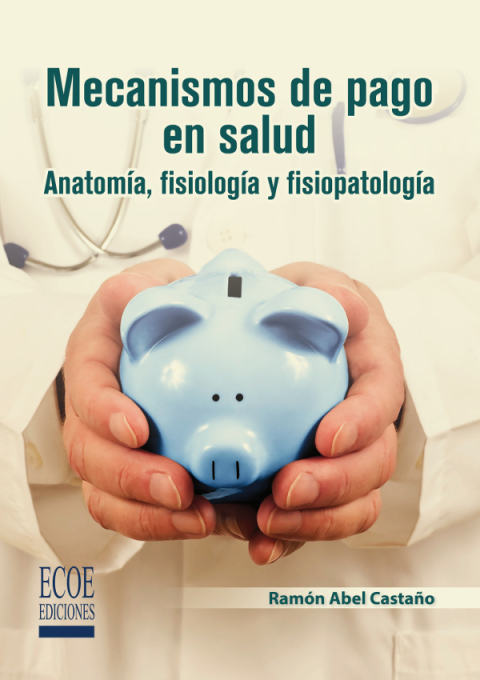 Cover image for book Mecanismos de pago en salud