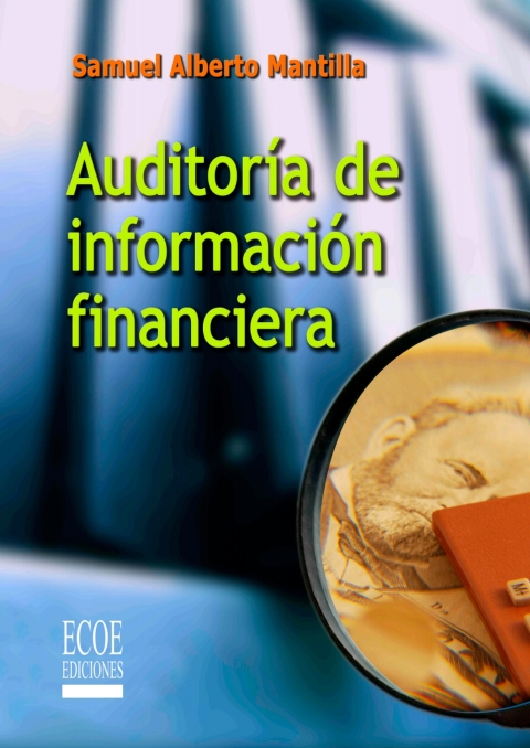 AuditorÃ­a de informaciÃ³n financiera 