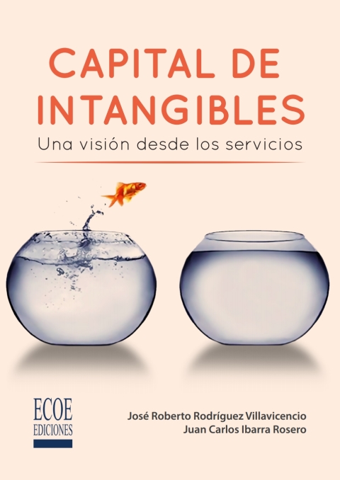 Cover image for book Capital de intangibles