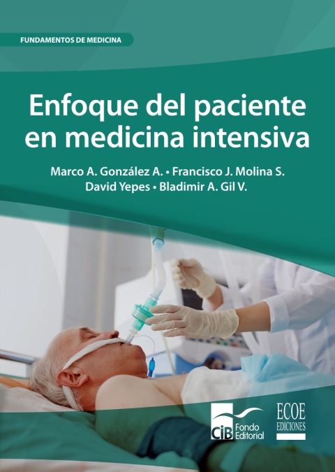 Cover image for book Enfoque del paciente en medicina intensiva
