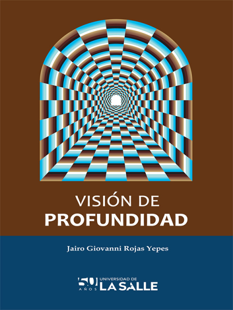 Cover image for book Visión de profundidad