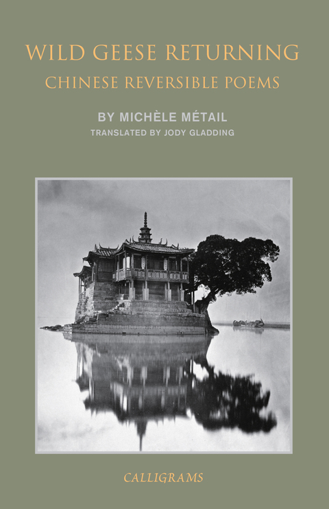Cover image for book Wild Geese Returning