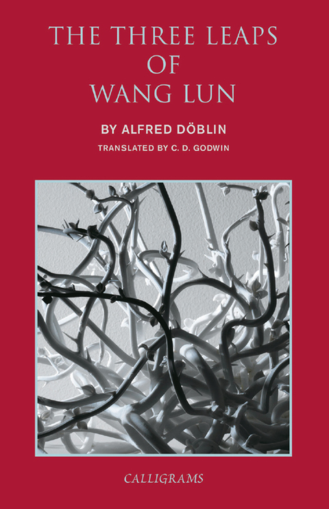 Cover image for book The Three Leaps of Wang Lun