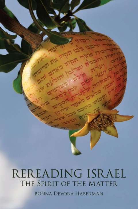 Cover image for book Rereading Israel