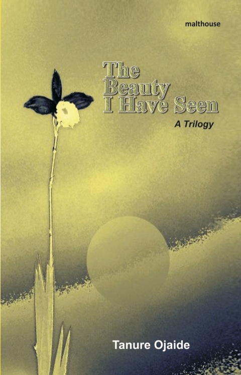 Cover image for book The Beauty I Have Seen