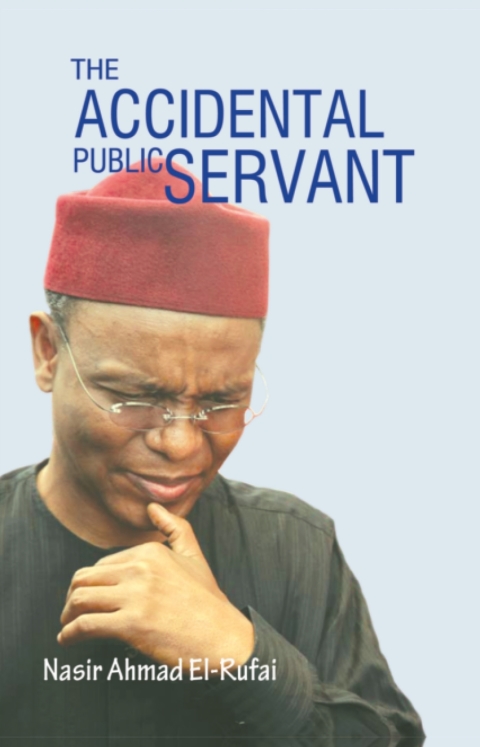 Cover image for book The Accidental Public Servant
