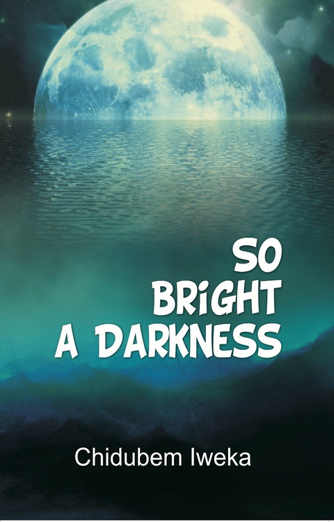 Cover image for book So Bright a Darkness